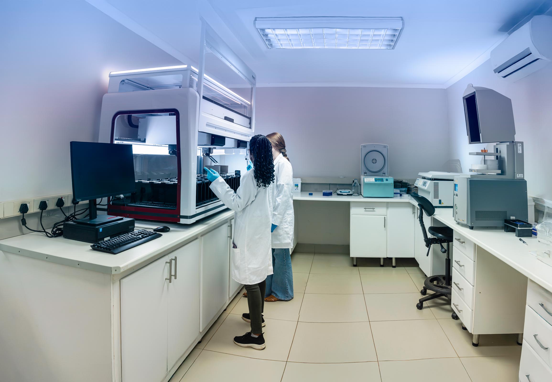 DNA area 1 copy bright copy blue