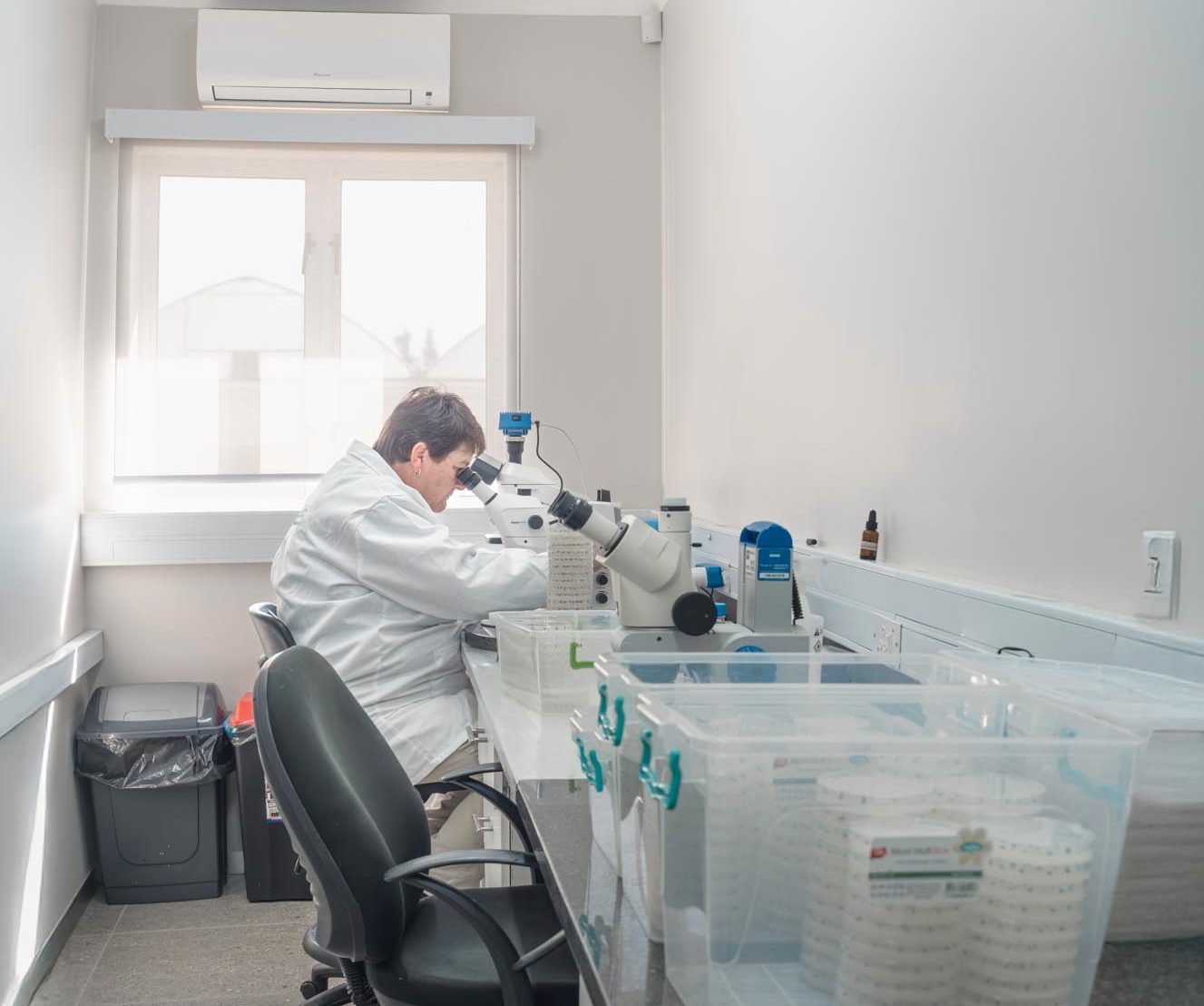 Microscope copy bright